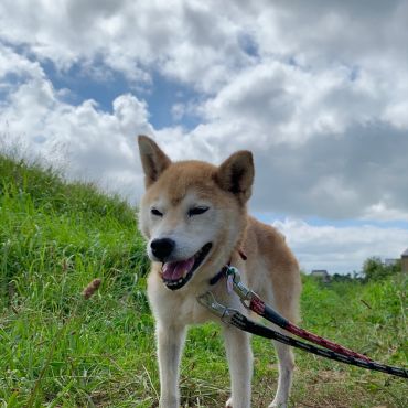 きぬちゃんペースでいこう