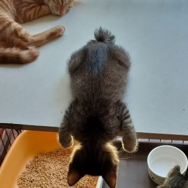 寝てます！こんな格好でも寝られるようになりました！
