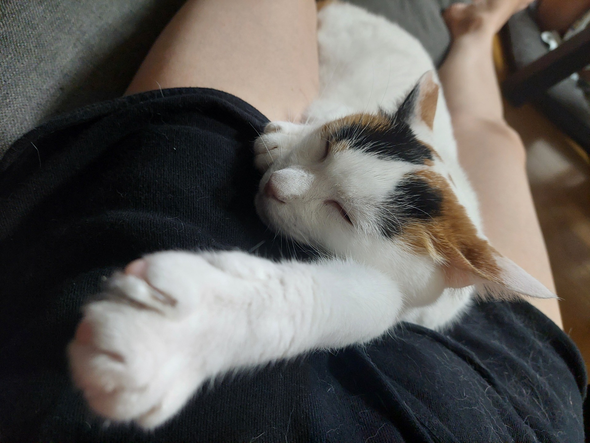 一緒に寝たい♡