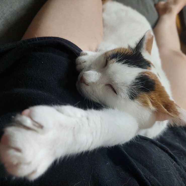 一緒に寝たい♡