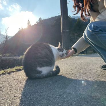 身を委ねる♪