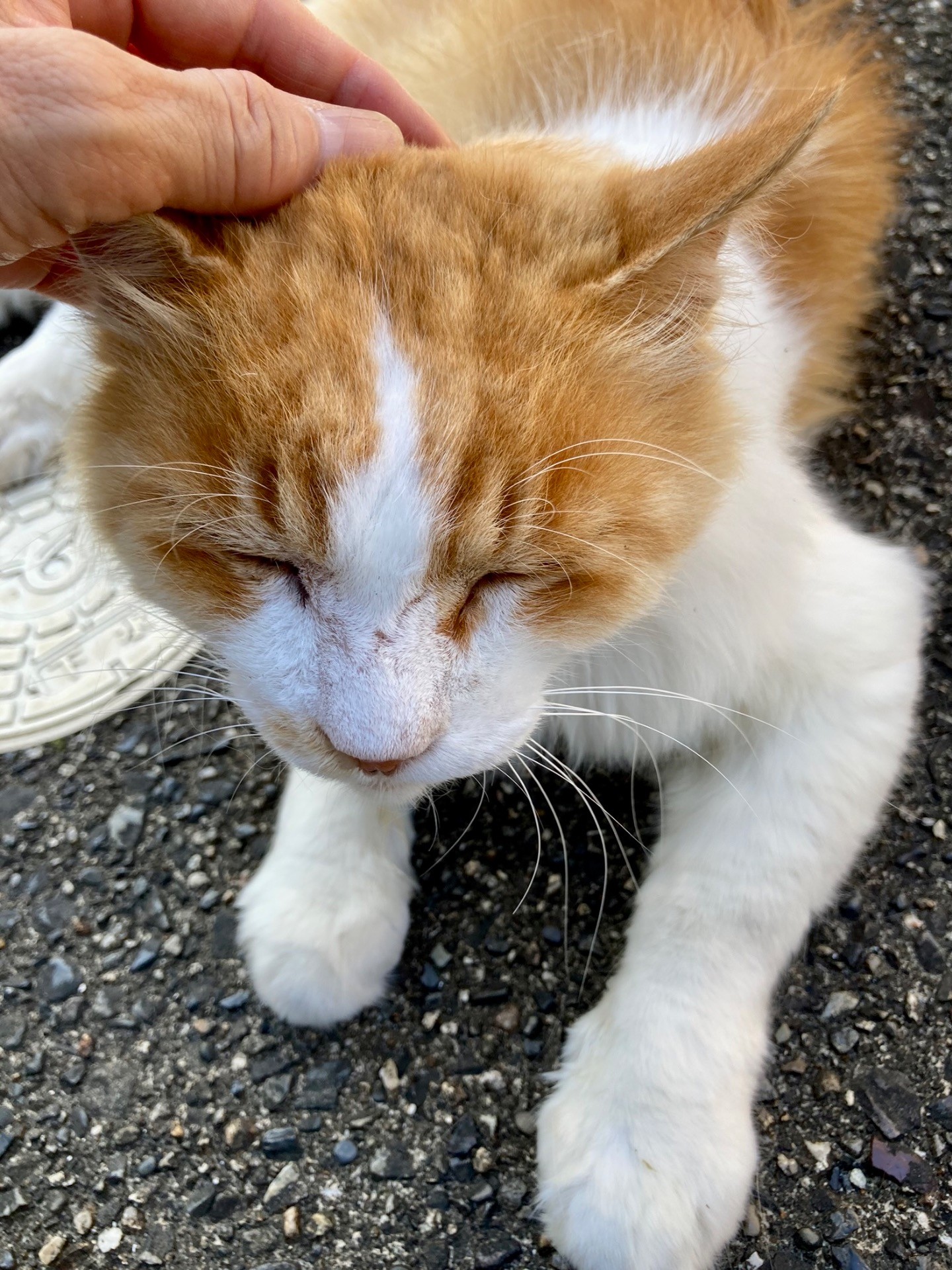 のんびりゆったり