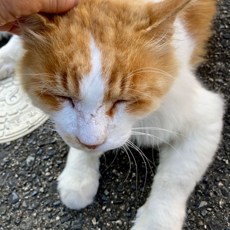 のんびりゆったり