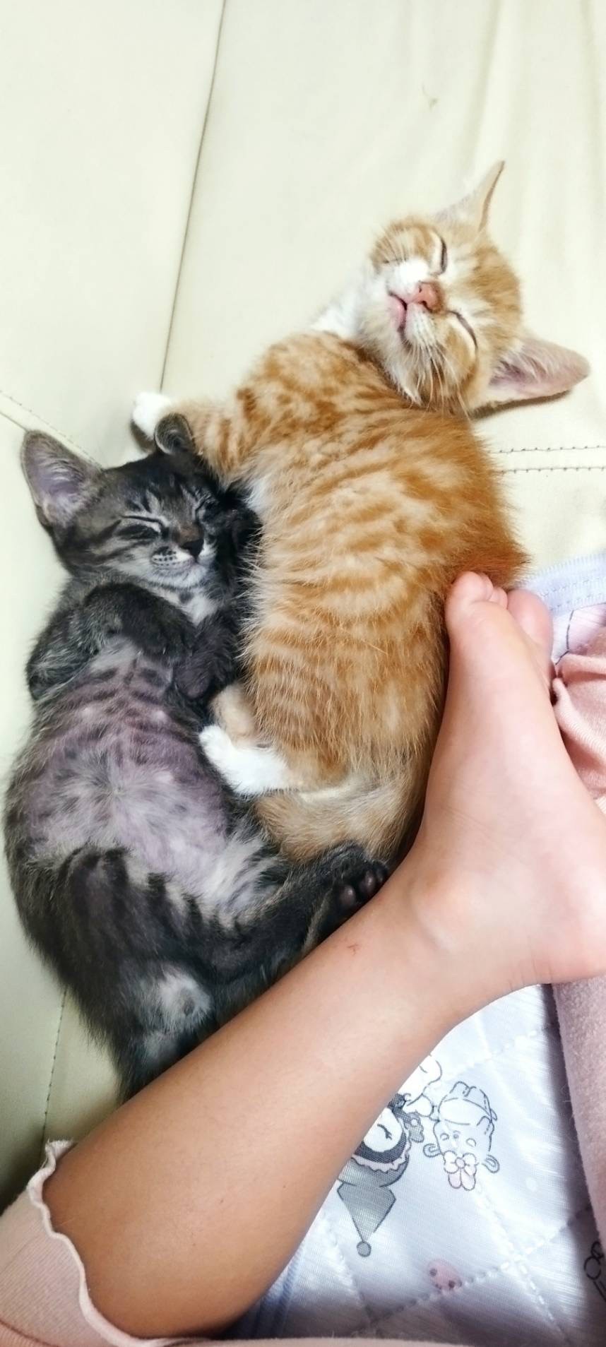 助かった命