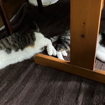 今では仲良し