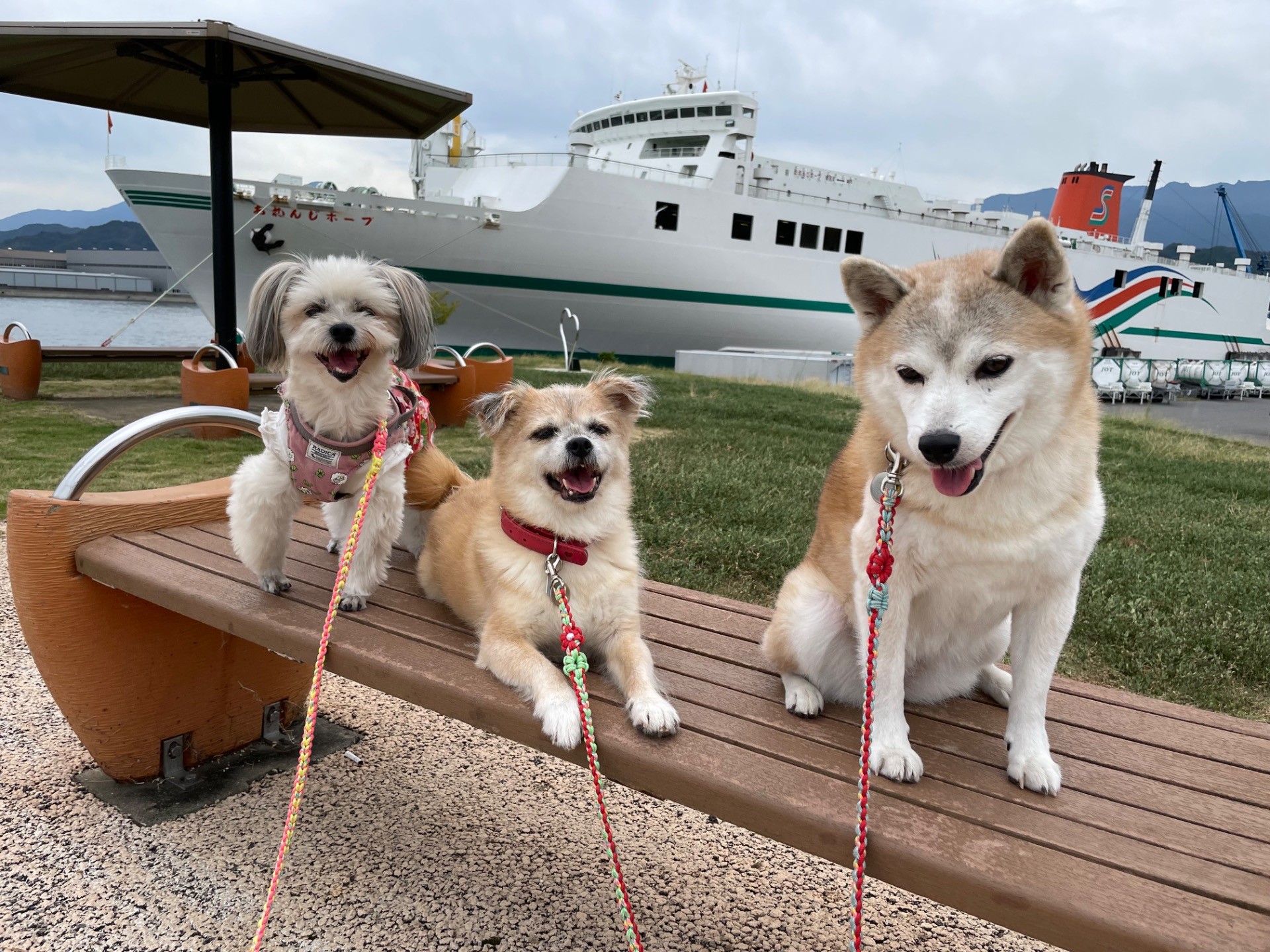 大好きな船と海を見に行きました！