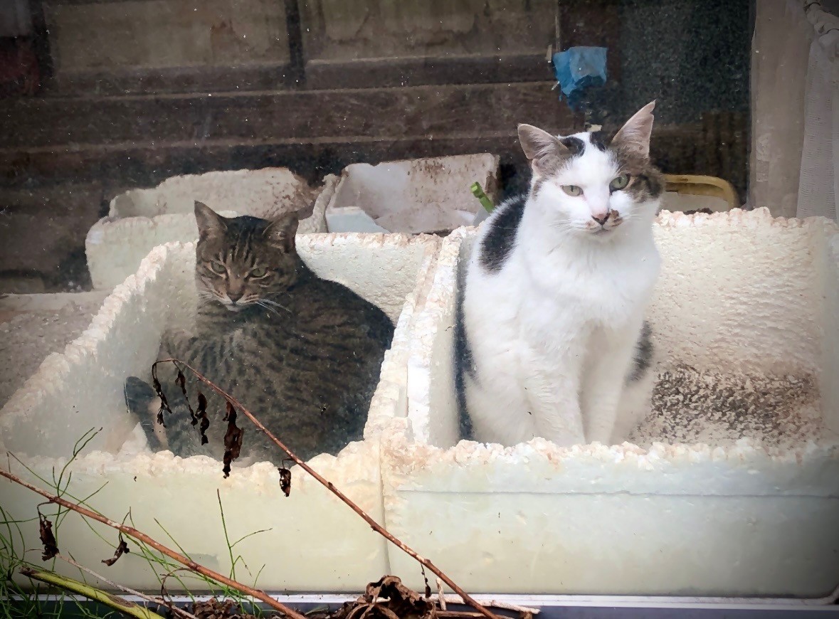 私たちには最高のベッド