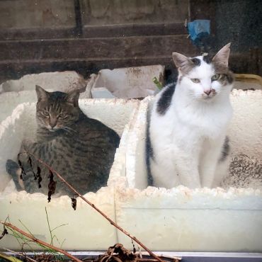私たちには最高のベッド