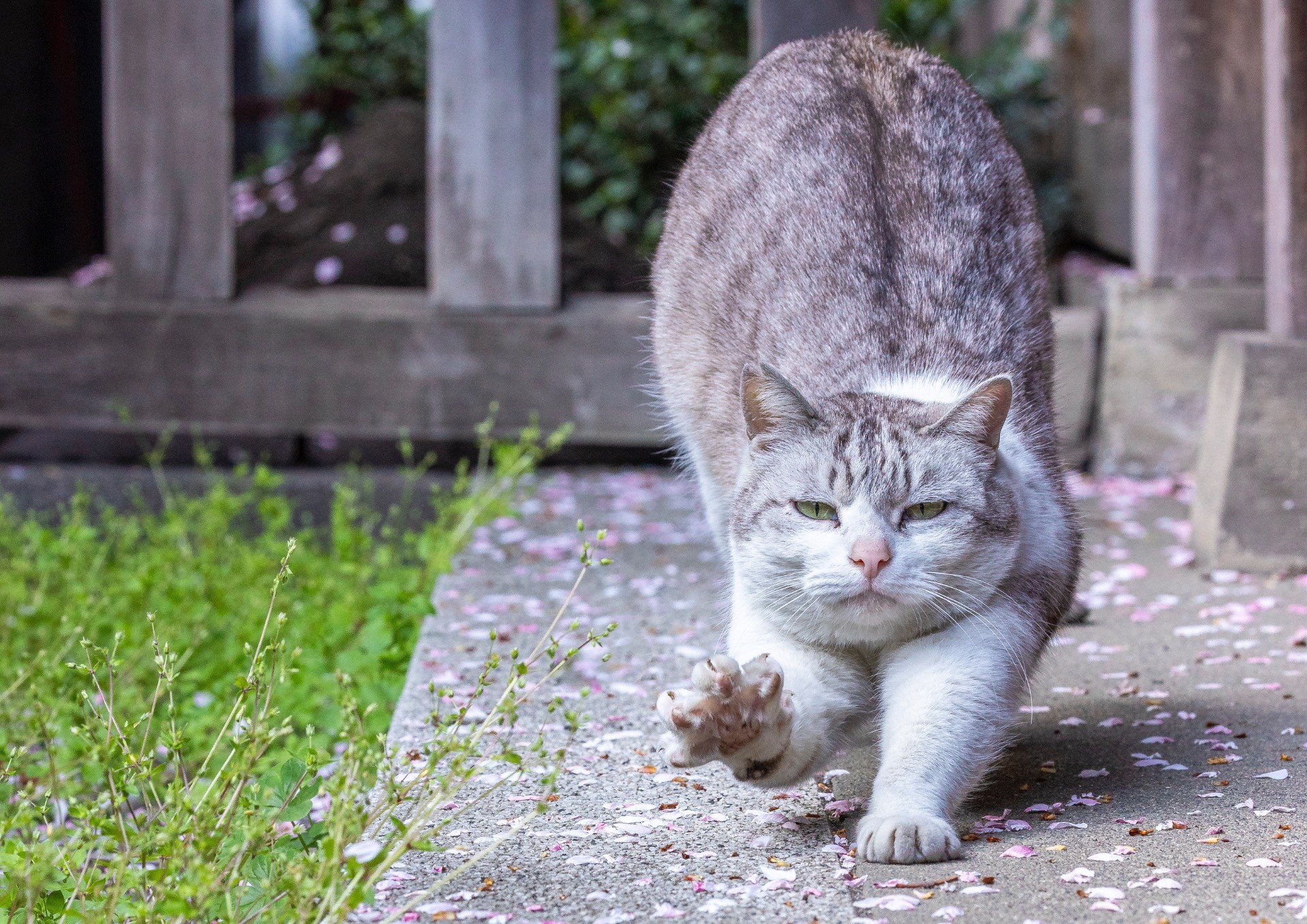今年も会えたね