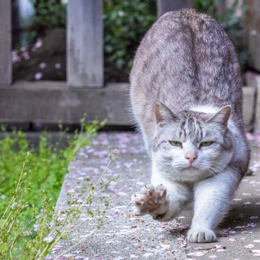 今年も会えたね