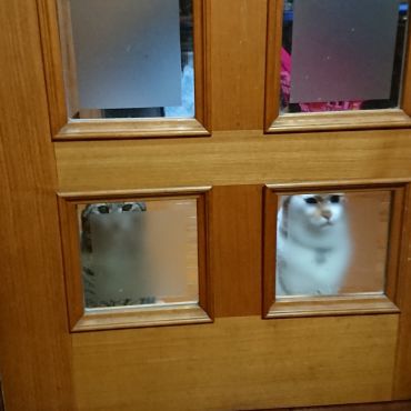 終わるの待ってるね