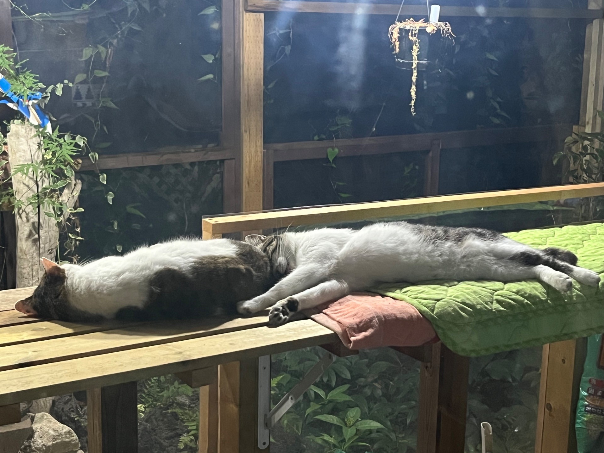 安心して眠れる場所