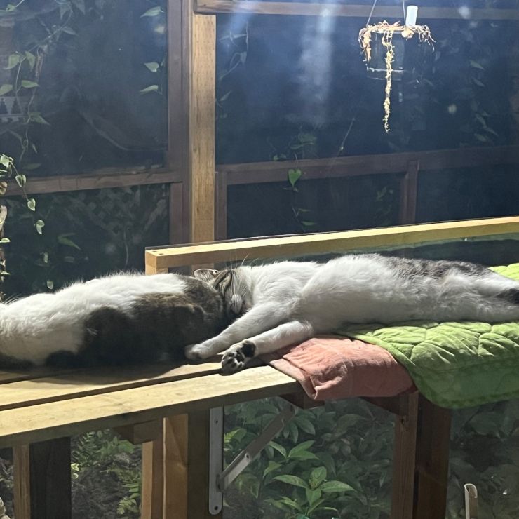 安心して眠れる場所