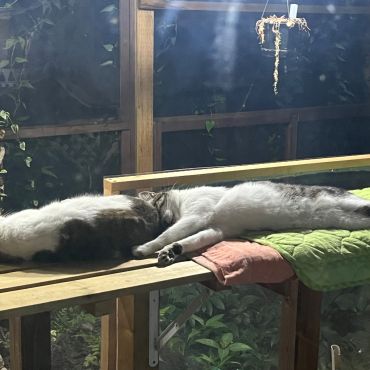 安心して眠れる場所
