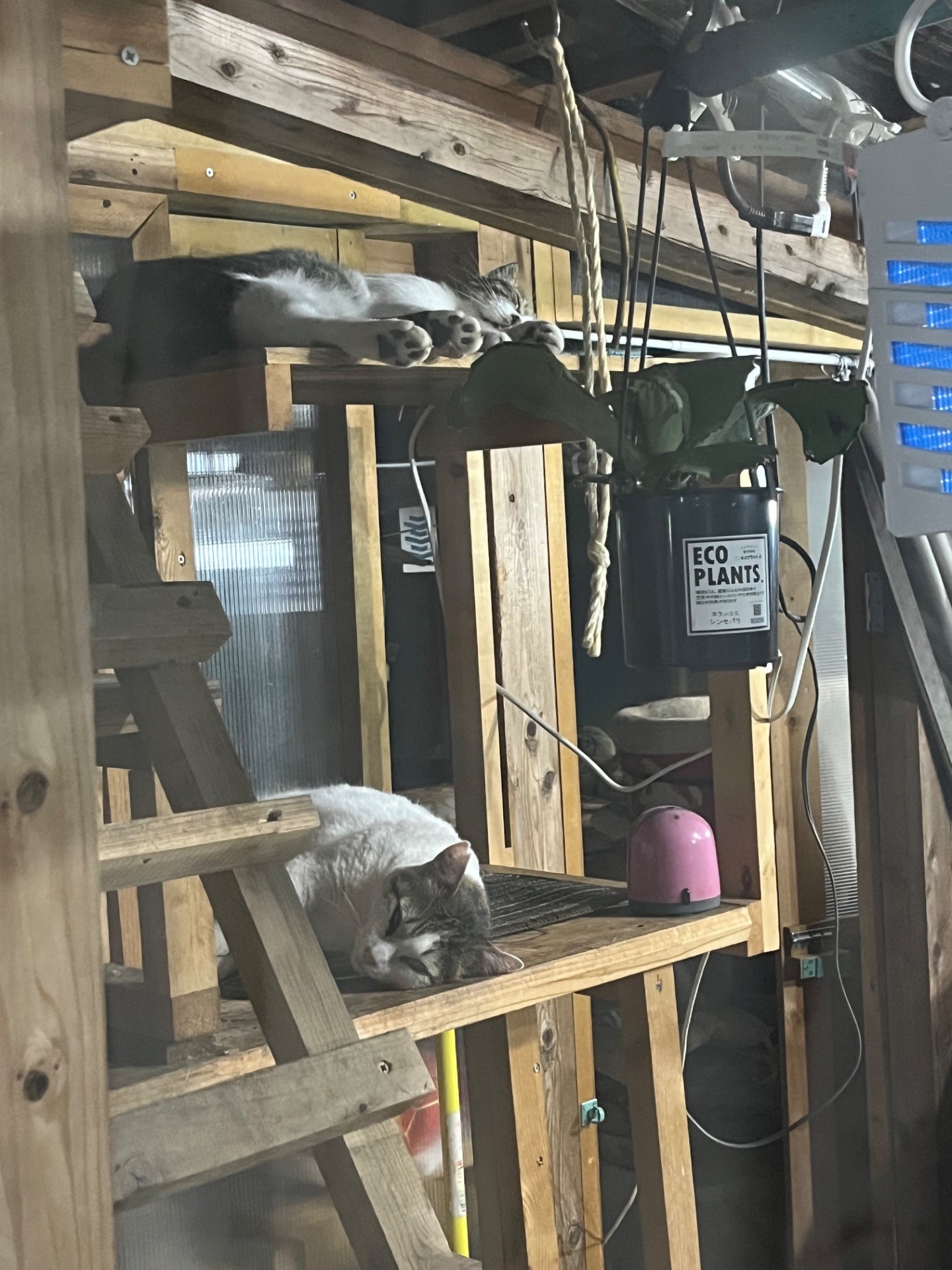 2階建宿泊所101号室