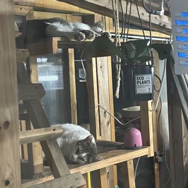 2階建宿泊所101号室