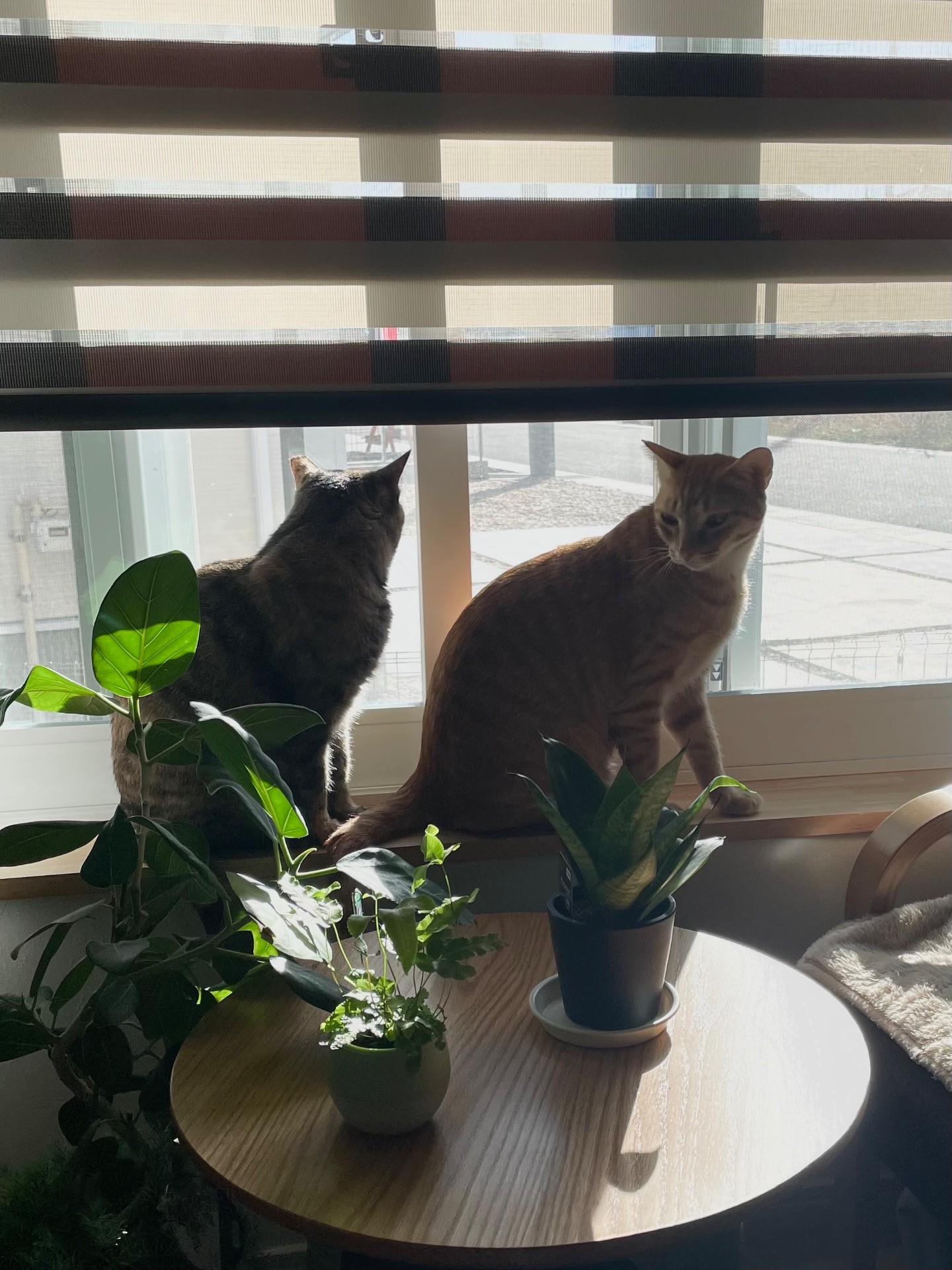 お外見えるね！