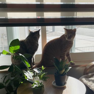 お外見えるね！