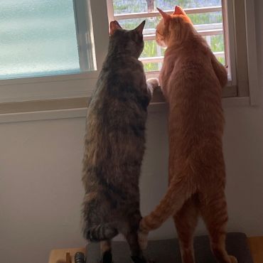 お外見えるね‼︎