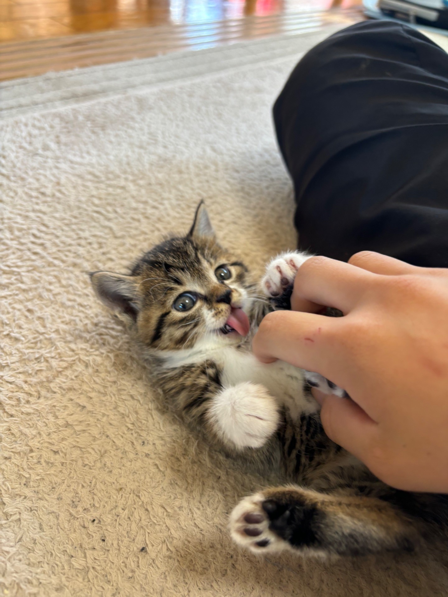 甘えられる人がいる幸せ