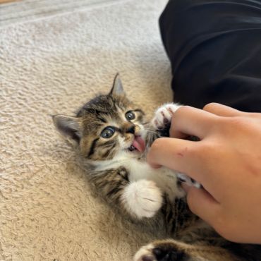 甘えられる人がいる幸せ