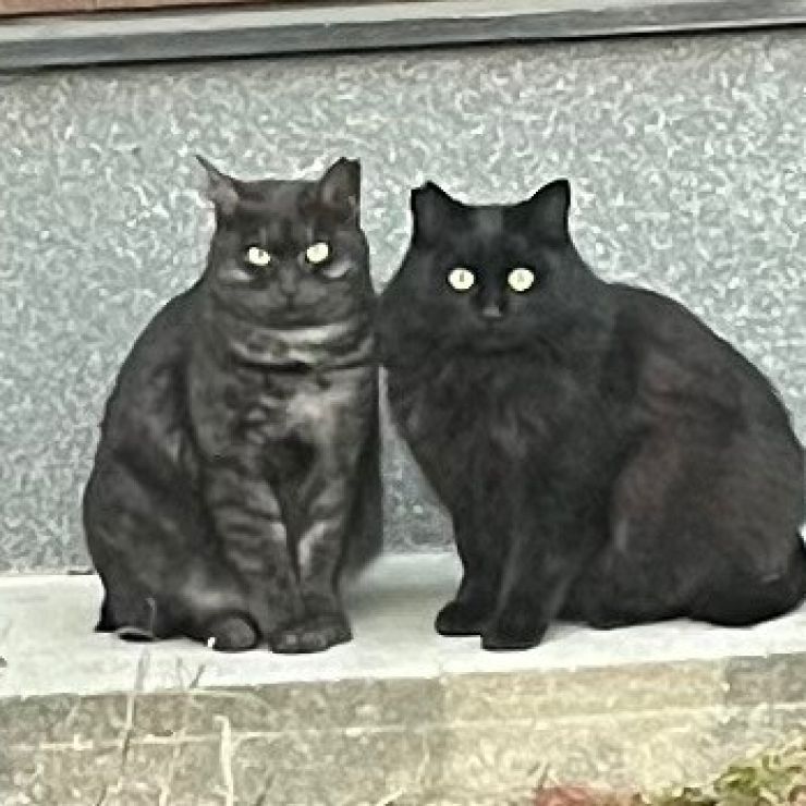 待っている