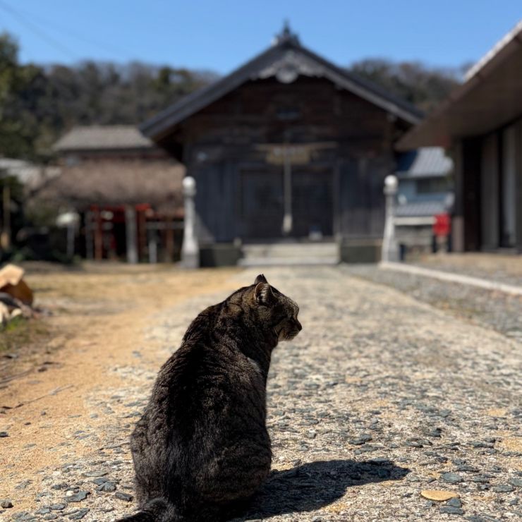 行ってきな