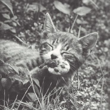 ひとときの無防備