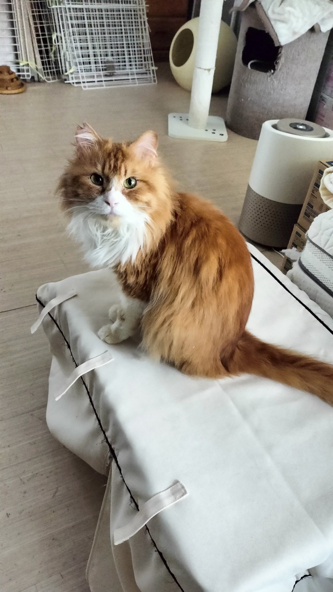 リターンするつもりが、、、