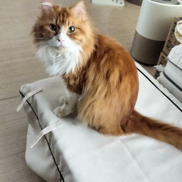 リターンするつもりが、、、