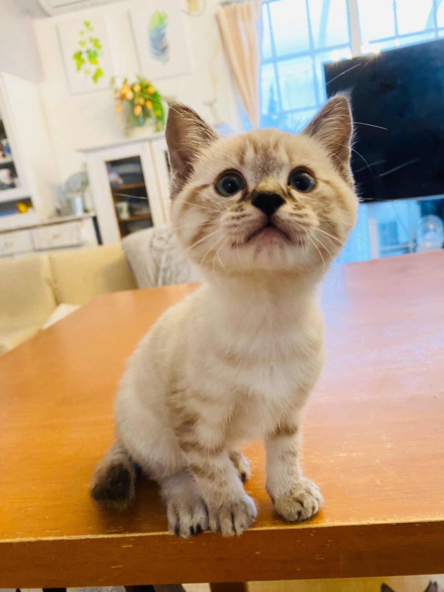 ぼく大きくなったよ!