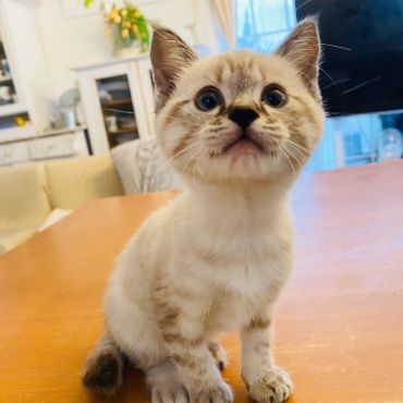 ぼく大きくなったよ！