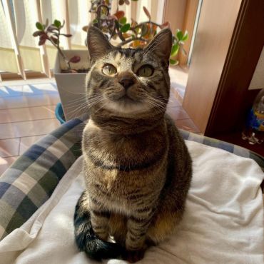 ここにいる理由