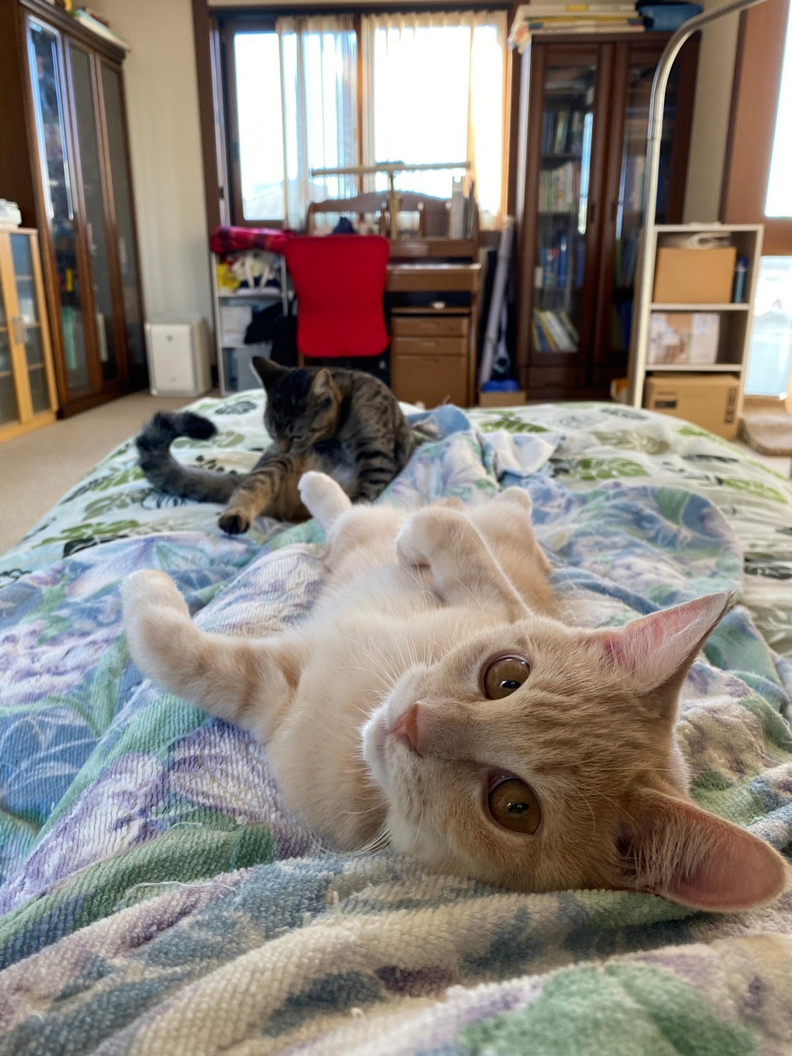 同じ時間の中で