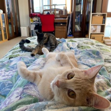 同じ時間の中で