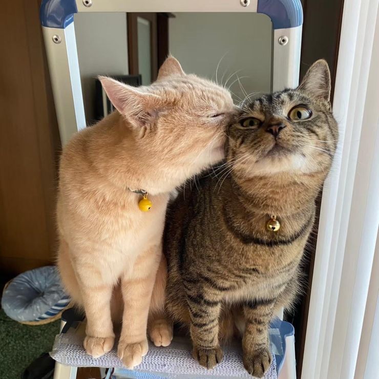 やさしいキス