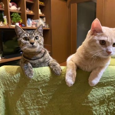 並んで見る世界