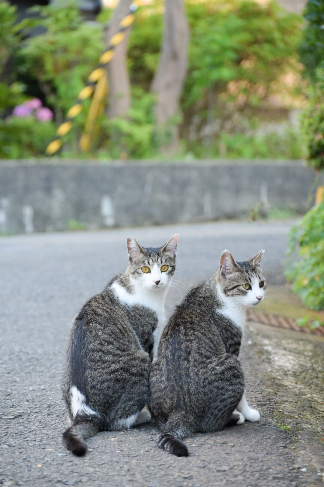 ずっと一緒だよ
