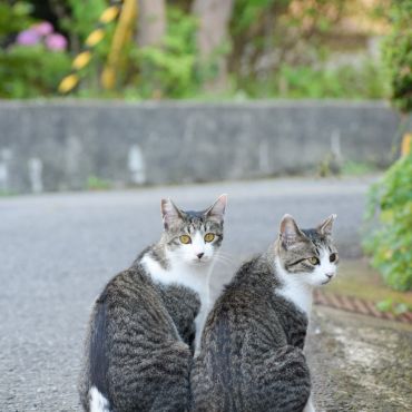 ずっと一緒だよ