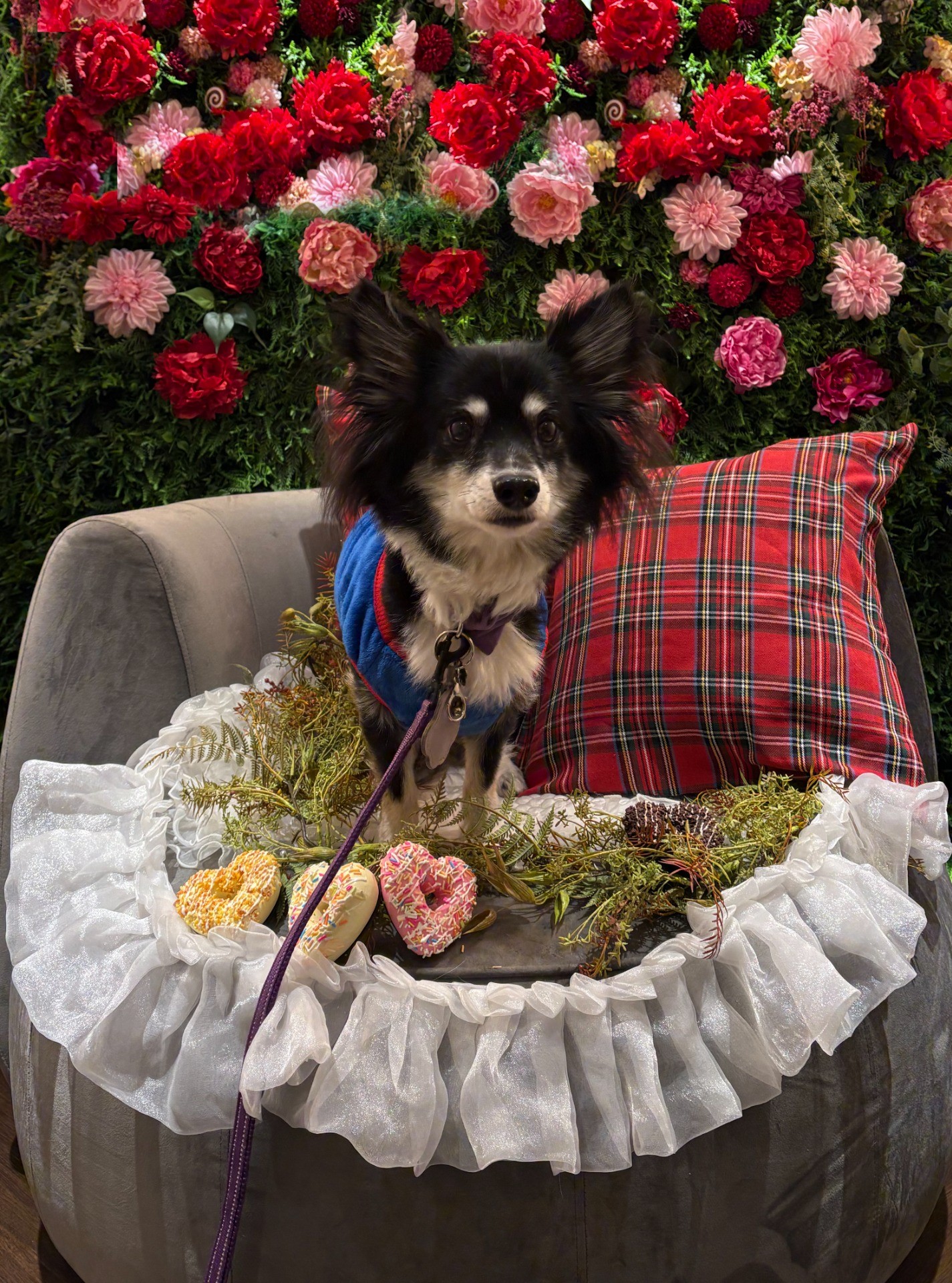 おやつくれるの？