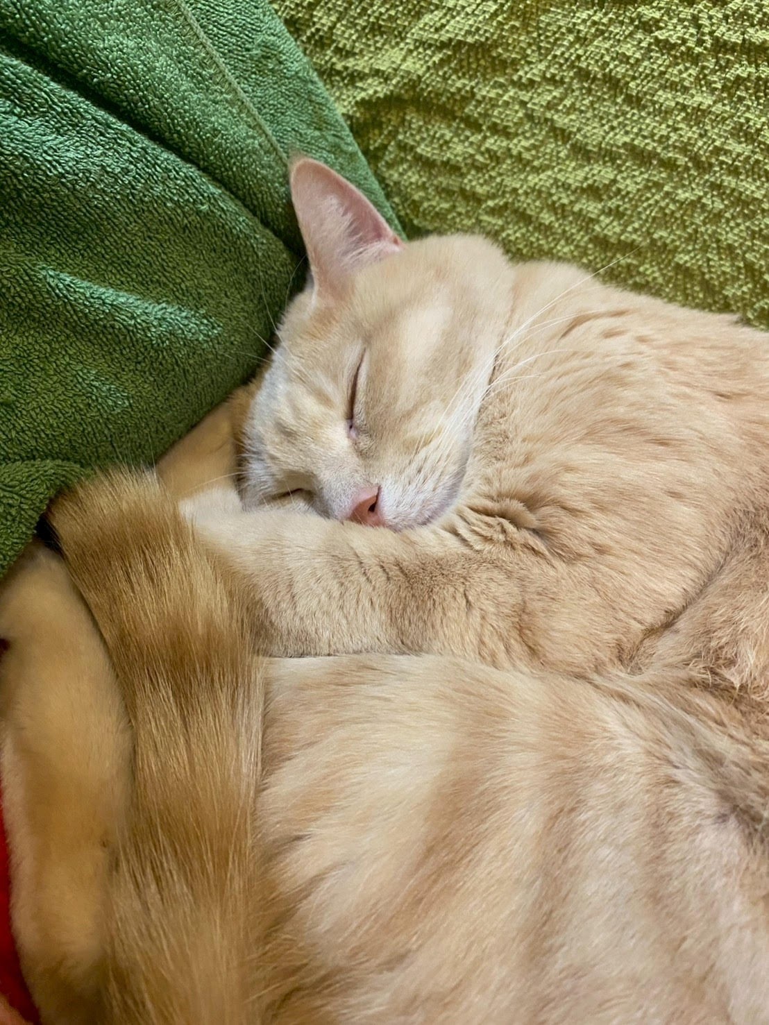 ぬくもりの中で