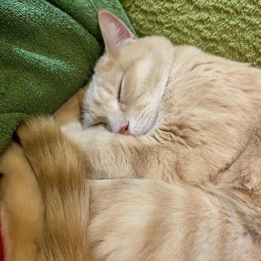 ぬくもりの中で