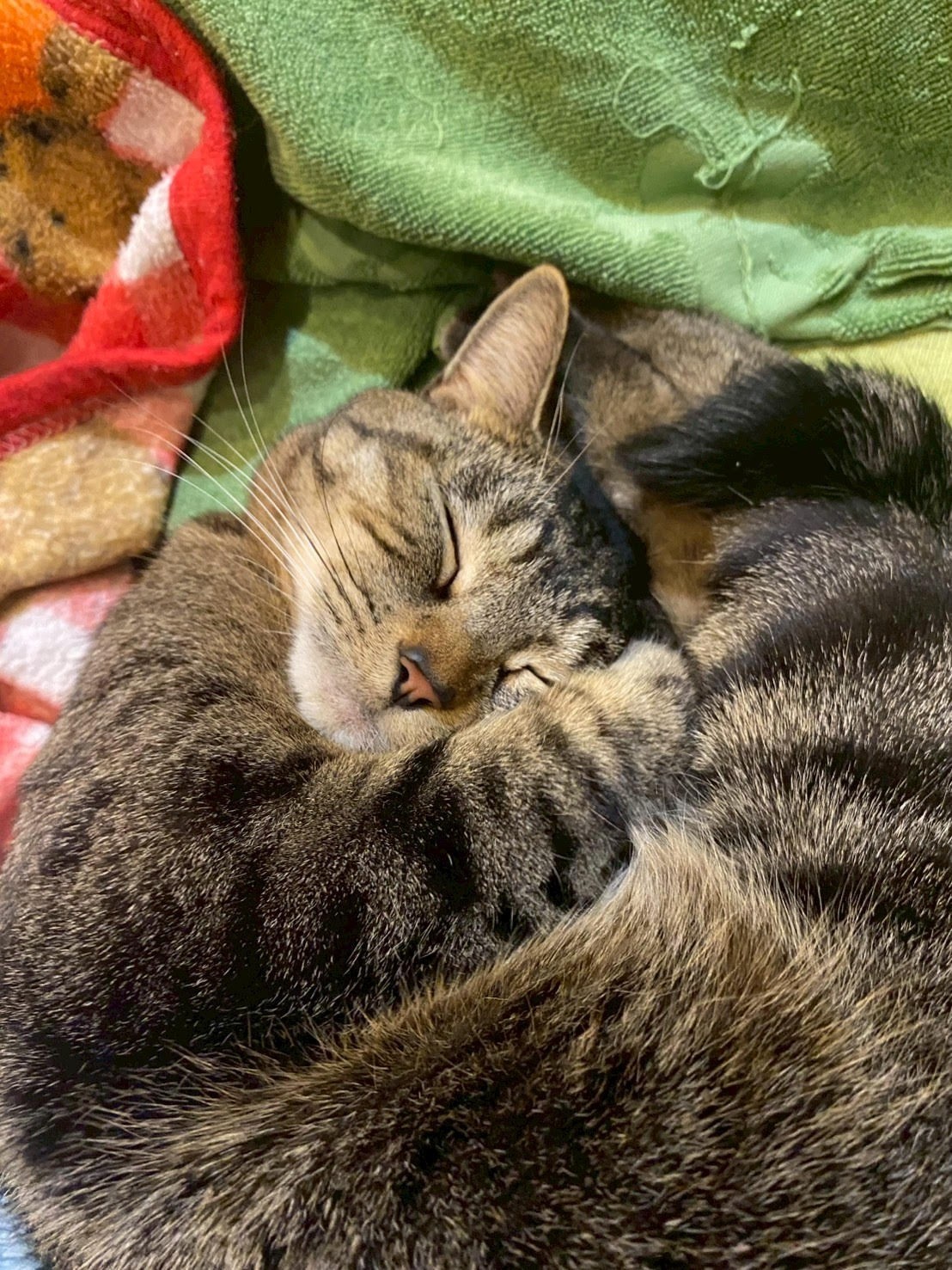 ほどけていく記憶