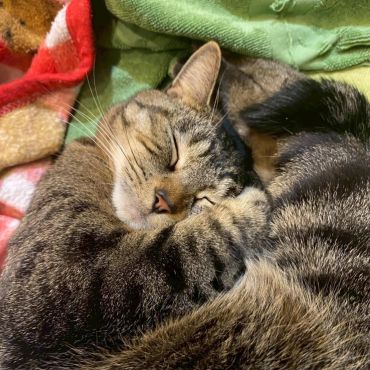 ほどけていく記憶