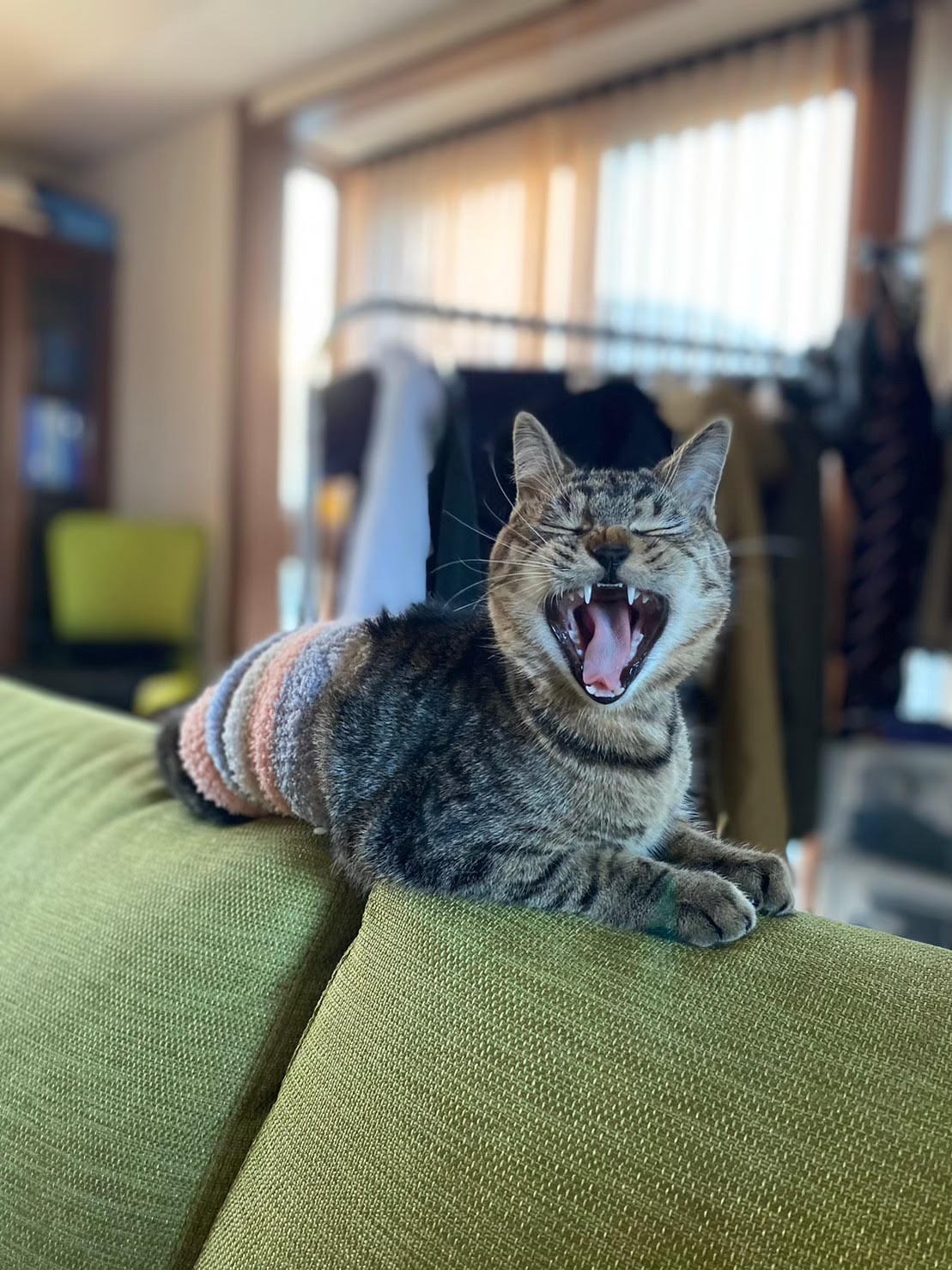 無防備という証明