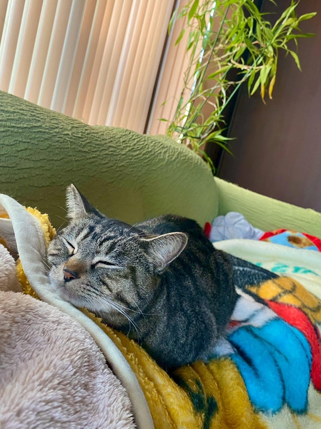 守られている時間