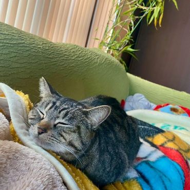 守られている時間