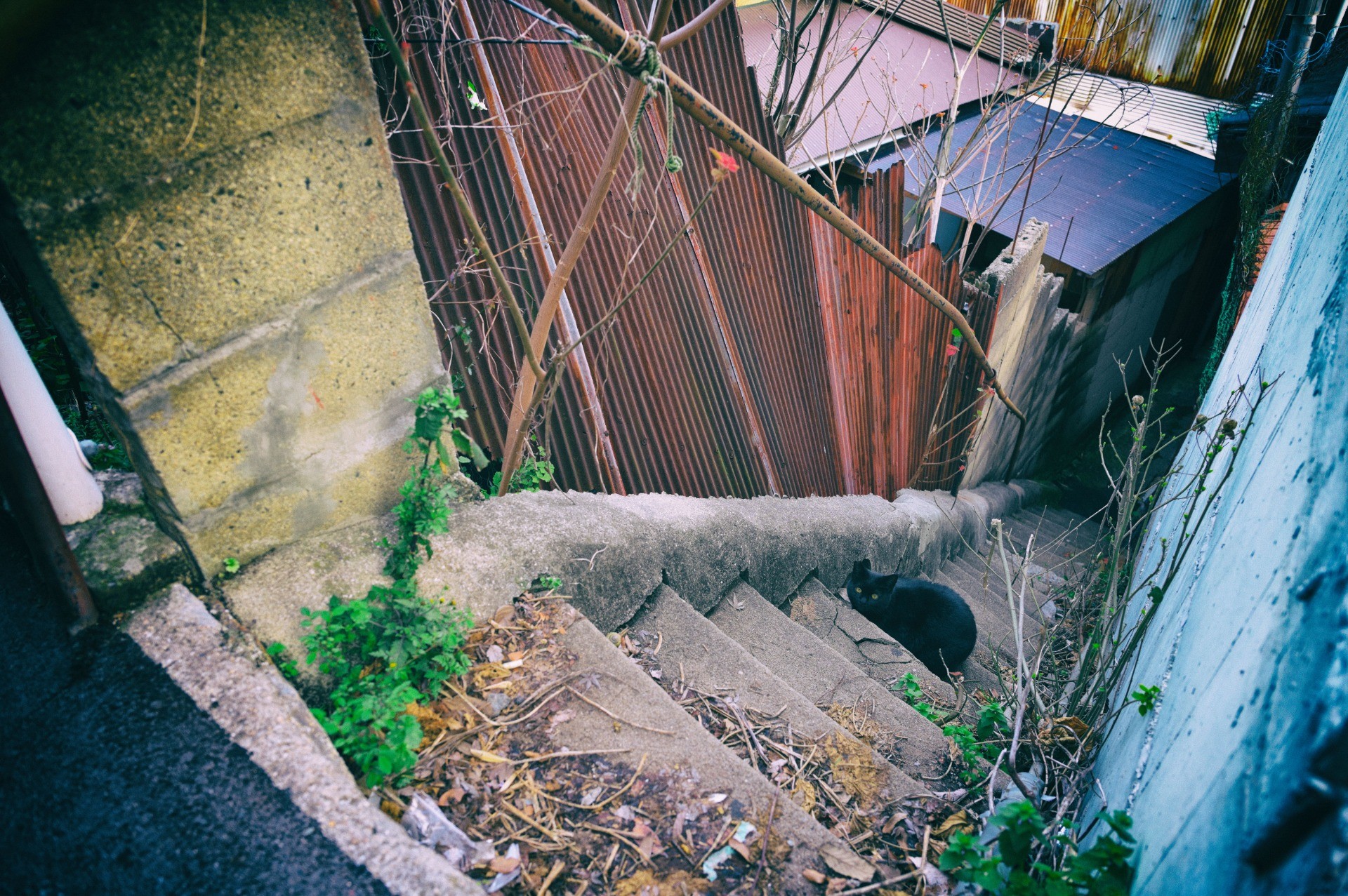 古路地に呼ばれて