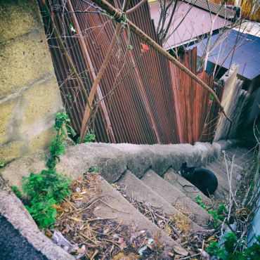 古路地に呼ばれて