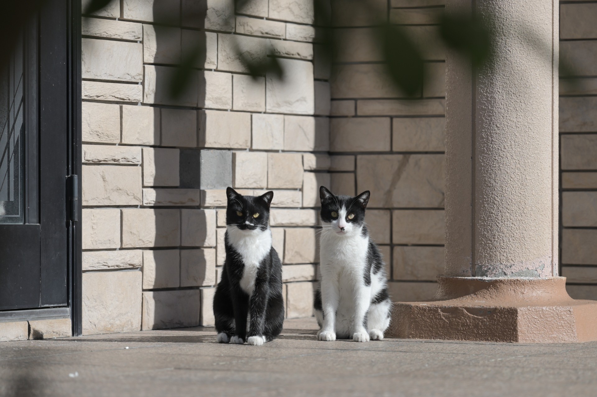 ふたりで分けるやさしい時間